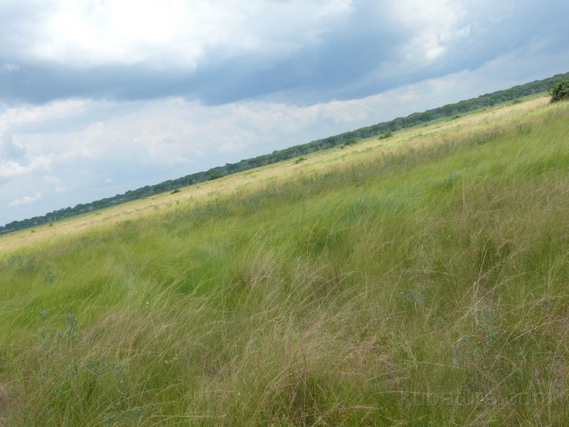 418 416 P1130803.jpg